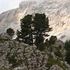10 Daniel Zenker