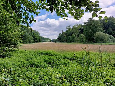 Das Pirschbachtal