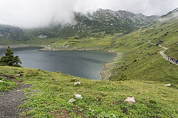 Formarinsee