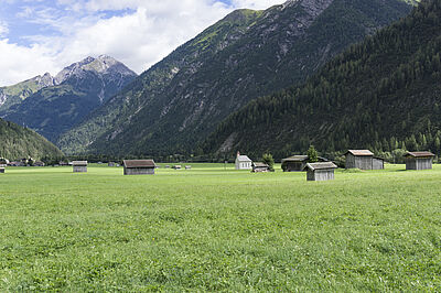 Typische Wiesenlandschaft am Lech