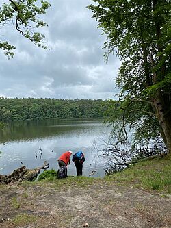Am Drüsensee