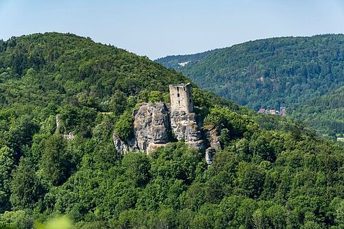 Burgruine Neideck