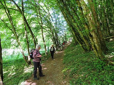 csm_05-D-3128_Klamm_1fbb6f447a.jpg