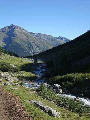 csm_DSC09113_d39573d8b8.jpg