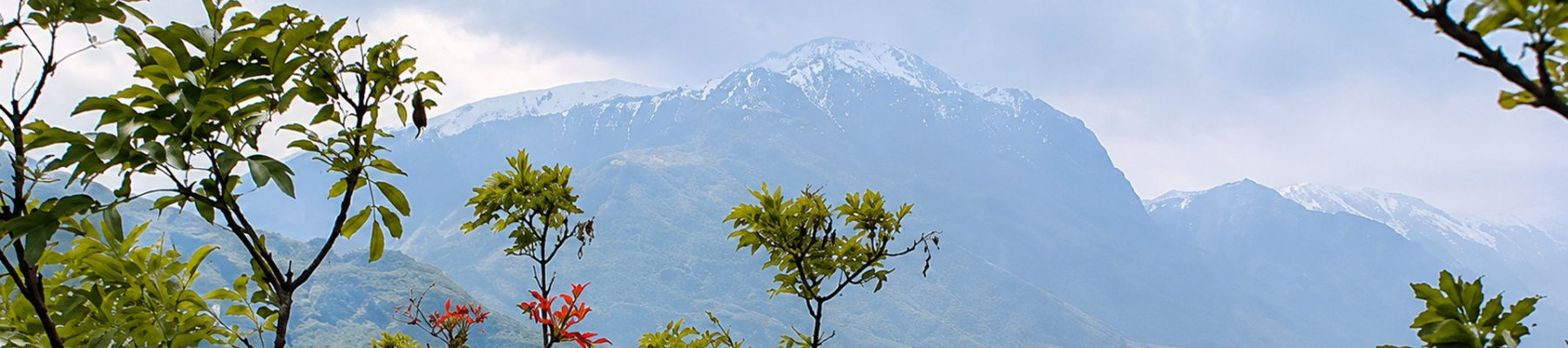 Natur & Klimagruppe