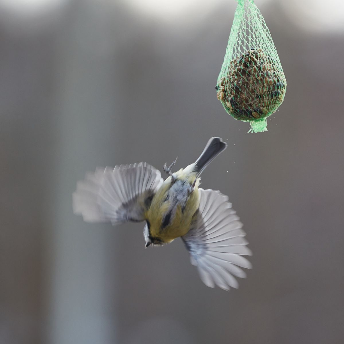 klima_natur_mischke